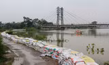 Đê tả Bùi đã qua giai đoạn nguy hiểm. Ảnh: Trường Phong