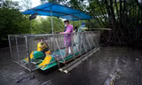 Một ngày trải nghiệm tour đường sông câu cá sấu ở Cần Giờ