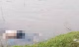 Hiện trường sự việc. Ảnh: LS
