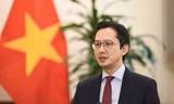 Thứ trưởng Đỗ Hùng Việt. (Ảnh: Mofa)