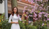 Hoa ban tím nở rực rỡ khắp phố phường Hà Nội
