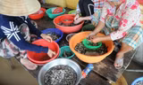 Cá linh - đặc sản mùa nước nổi miền Tây Ảnh: C.K   