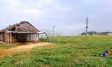 Sau 13 năm thu hồi đất, resort ở bờ biển thôn Vạn Tường chỉ là một ngôi nhà tranh ảnh: Văn Chương