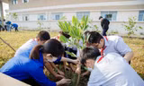 Thành Đoàn TP. HCM phát động ‘Tết trồng cây’ 