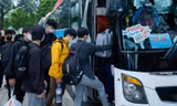 22 chuyến xe miễn phí đưa 1.000 sinh viên từ TP. HCM về quê ăn Tết