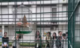 Sinh viên trường ĐH KHXH&NV (ĐHQG TP. HCM) mê tít với 'vườn thú nhỏ' trong khuôn viên trường