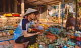 Chàng trai miền Tây sở hữu vườn sen đá khiến bao người 'mê mẩn'