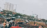 TP. HCM: Chợ hoa Xuân 'Trên bến dưới thuyền' khai mạc ngày 25 tháng Chạp