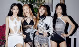 6 nhóm nữ thống trị tháng 5 này: BLACKPINK dẫn đầu, TWICE theo sau với kỷ lục mới