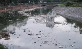 Rác 'ngập trắng' sông Tô Lịch sau cơn mưa lớn