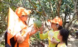 Chia nhỏ nhóm du khách trong tua giúp doanh nghiệp duy trì hoạt động, giảm thiểu rủi ro dịch bệnh