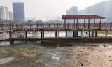 Thực trạng Công viên hồ Phùng Khoang được Chủ tịch Hà Nội 'chốt' yêu cầu hoàn thành trước Tết