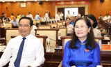 HĐND TPHCM triệu tập kỳ họp xem xét việc sắp xếp tổ chức lại đơn vị hành chính các cấp