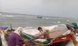 Chuyện về một làng chài thèm cá biển