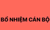 Bổ nhiệm ông Trịnh Mạnh Linh làm Trợ lý Thủ tướng Phạm Minh Chính