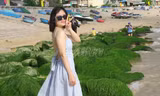 Bạn trẻ đua nhau đến check in 'thảm' rêu non độc đáo ở Quy Nhơn lúc bình minh