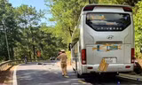 Hiện trường vụ tai nạn