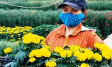 Người dân Huế có một năm bội thu hoa