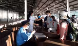 TT-Huế thực hiện các biện pháp phòng, chống COVID-19 hồi tháng 7/2020.