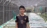 Bỏ đại học 'hút' theo cá kiểng 