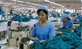 Dệt may và ngành giấy có số DN “chết” nhiều nhất. Ảnh: Hồng Vĩnh