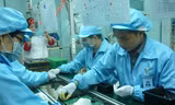Người lao động bị xâm phạm quyền lợi nghiêm trọng khi doanh nghiệp cố tình chây ỳ không nộp BHXH (Ảnh minh hoạ)