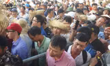 Vạn người chen lấn, xô đẩy xem chọi trâu Đồ Sơn