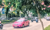 Bangkok "sống chung với dịch": Quán ăn vỉa hè mở lại, trung tâm thương mại căng biển sale
