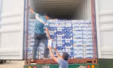 Khởi tố nữ cán bộ hải quan tiếp tay buôn lậu gần 4.200 thùng sữa từ Mỹ vào Việt Nam 