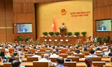 Chính phủ trình Quốc hội dự án Bộ luật Hình sự (sửa đổi)