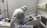 Anh và Việt Nam đang hợp tác trong thử nghiệm lâm sàng thuốc điều trị COVID-19.