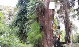 Vào vương quốc thủy tùng 