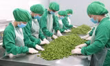 Cty CP Dh Foods do ông Nguyễn Trung Dũng (kiều bào Ba Lan) đầu tư tại TPHCM ảnh: U.P
