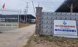 Phạt nửa tỷ đồng doanh nghiệp 'dính' sai phạm đất đai, xây dựng