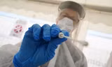 Mẫu virus corona