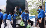Tuổi trẻ Bắc Ninh hỗ trợ 'giải cứu' nông sản cho bà con Hải Dương