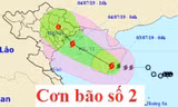 Đường đi và vị trí của bão số 2.