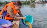 Đi ghe ra giữa sông thả cá phóng sinh