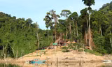Thành lập Vườn quốc gia Sông Thanh