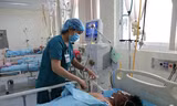 6 người nhập viện, 2 người nguy kịch vì ngộ độc cá nóc