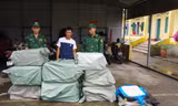 Đồn biên phòng Trà Cổ bắt giữ bè gỗ chở lượng lớn nầm lợn nhập lậu 