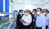 Chủ tịch nước: Hình thành các mô hình nông nghiệp công nghệ cao bằng cơ chế hấp dẫn