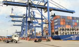 Hơn 1.000 container hàng hóa nhập khẩu 'ăn vạ' tại cảng Cát Lái 