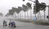Chuyên gia 'bắt mạch'nhiều điểm bất thường về thiên tai năm nay