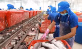 Anh, Brazil bất ngờ chi đậm nhập khẩu cá tra Việt Nam