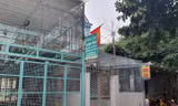 Vườn lan Hà Thanh khóa trái cửa mấy ngày qua. 