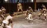Một ngày khổ luyện của các võ sĩ sumo nhí Nhật Bản