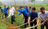 Khởi động cầu nông thôn bản Trang