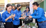 Tuổi trẻ Lâm Đồng phấn đấu 'Bình dân học vụ số' tại 100% xã phường