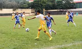 Bầu Hiển thuê SVĐ Bắc Giang 20 năm cho Hà Nội FC tập luyện, tập huấn 